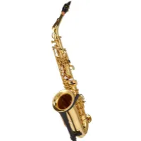 SAS-75 Alto Sax